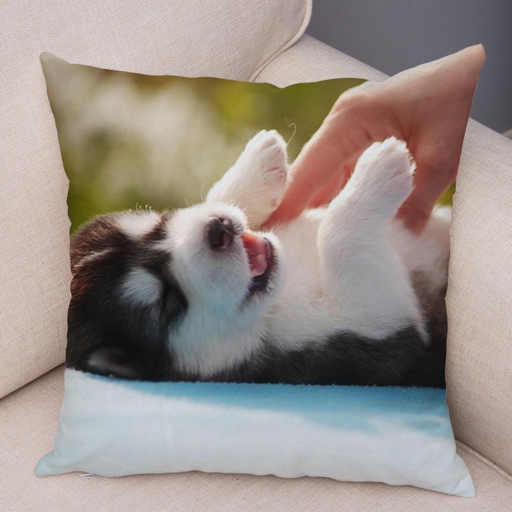 Decor Cute Siberian Husky Pillowcase Pet Dog Printed Super Soft Short Plush Pillow Case 45*45cm Animal Cushion Cover for Sofa
