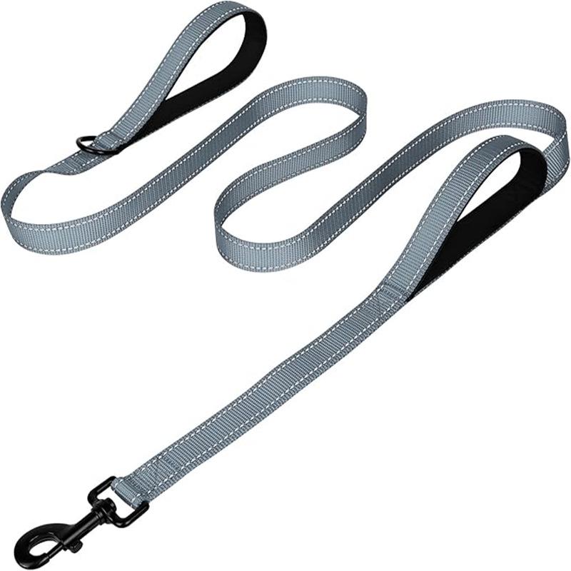 Double Layer Explosion-Proof Reflective Dog Leash - Shock-Absorbing, Thickened Pet Leash