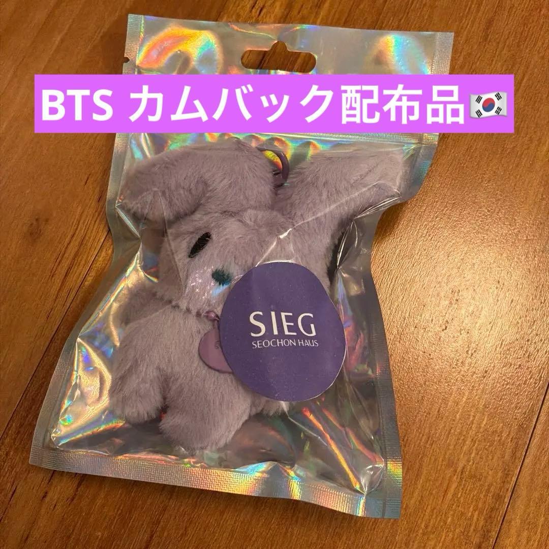 

[USED] SIEG Seochon Haus Purple Rabbit Keychain (BTS comeback giveaway item)