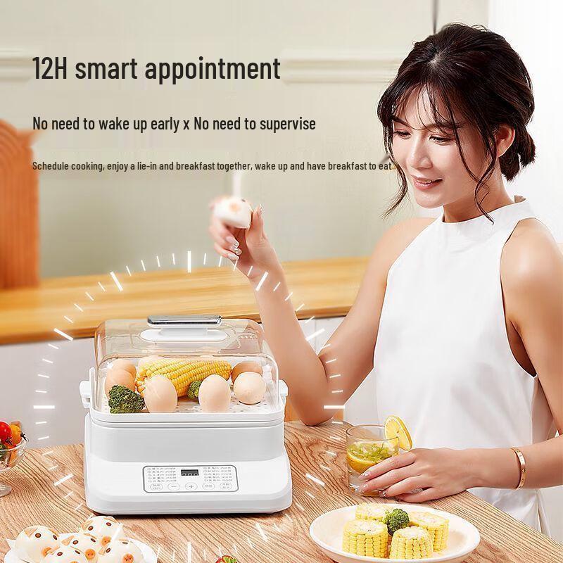 Smart Multi-functional Electric Steamer