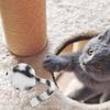 6Pcs Mouse Shaped Cat Activity Set Realistic Appearance Soft Material Keeps Kittens Busy Indoor Entertainment Interactive Pet