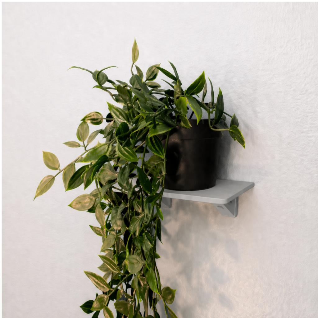 Mini gray wall shelf organizer for small items decorations