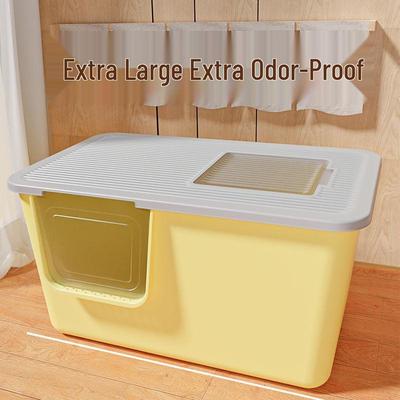 Katzen – Katzenpflege