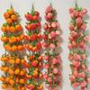 Extended Plastic Foam Fruit Skewers for Decoration: Ideal for Shops, Farmhouses, Restaurants, and Kindergartens