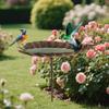 Outdoor Bird Bath Bird Bath Standing Metal Garden Pole Cast Iron Leaf-Shaped Water Bowl Statue Decoration For Patio Yard Balcony
