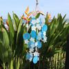 Wind Chimes Coconut and Capiz Blue-White Stars 30cm