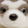 Anime Toys Dárek Anime Model Toys Dárková kolekce Akční figurka Anime Model Toys Dárková kolekce Akční figurka Anime Model Toys Dárková kolekce