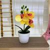 Botanical Phalaenopsis Faux Fake Flower Props For Bridal Events And Party Decor