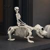 Halloween Yard Decoration Decoration, Skeleton Riding Dog Statue, 52cm Large Bone Figure for Texture Decor Display, Spooky Child Hound Haunted
