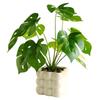 Realistic Simulation Green Plant Bonsai Elegant False Tropical Plants  Home Garden