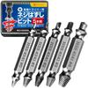 Mel Japan Screw Removal Bit, Set of 5 with Last Bit Screwdriver Bit, Extractor,