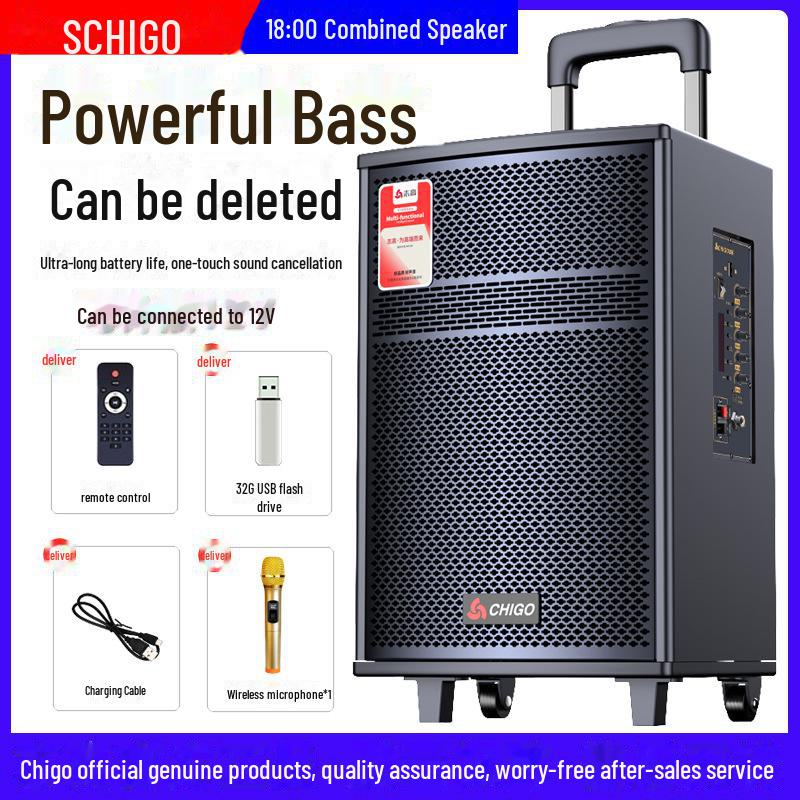 Chigo High-Power Outdoor Bluetooth Trolley Speaker for Music & Karaoke