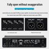 Shile AV-2018 Professional 4-Channel Power Amplifier (CN Version)