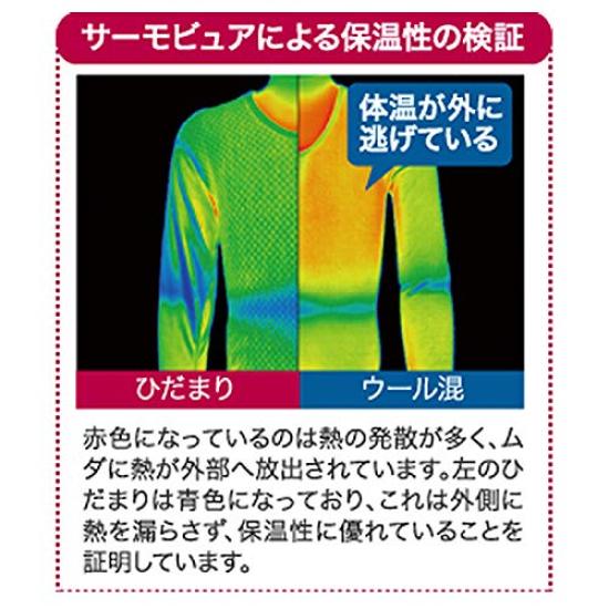 Healthy Underwear Hidamari Goku Size KW801 Women's Innerwear, M,