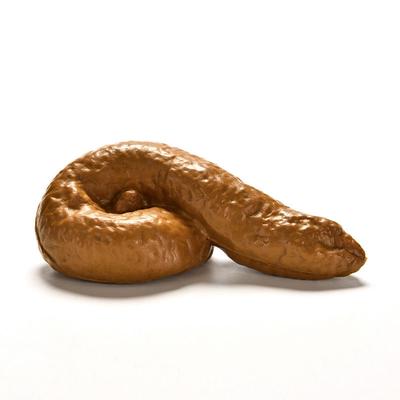 מתנה חרא ריאליסטית צעצועים מצחיקים צעצועים מזויפים חתיכת חרא מתיחה גאדג'ט נגד מתחים צעצועים סחוטים בדיחה טריקי צעצועים טורד שובבות