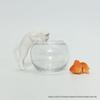 Greedy Cat Goldfish Micro Landscape Cup Figure