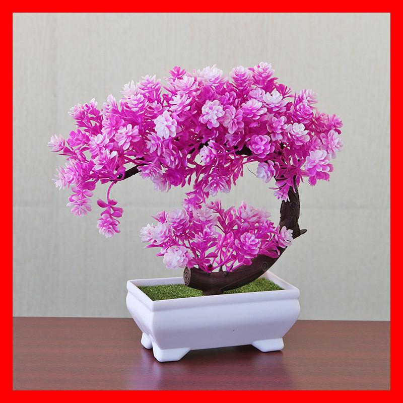 Plastic Bonsai Terrarium With Creative Design For Indoor Garden Display