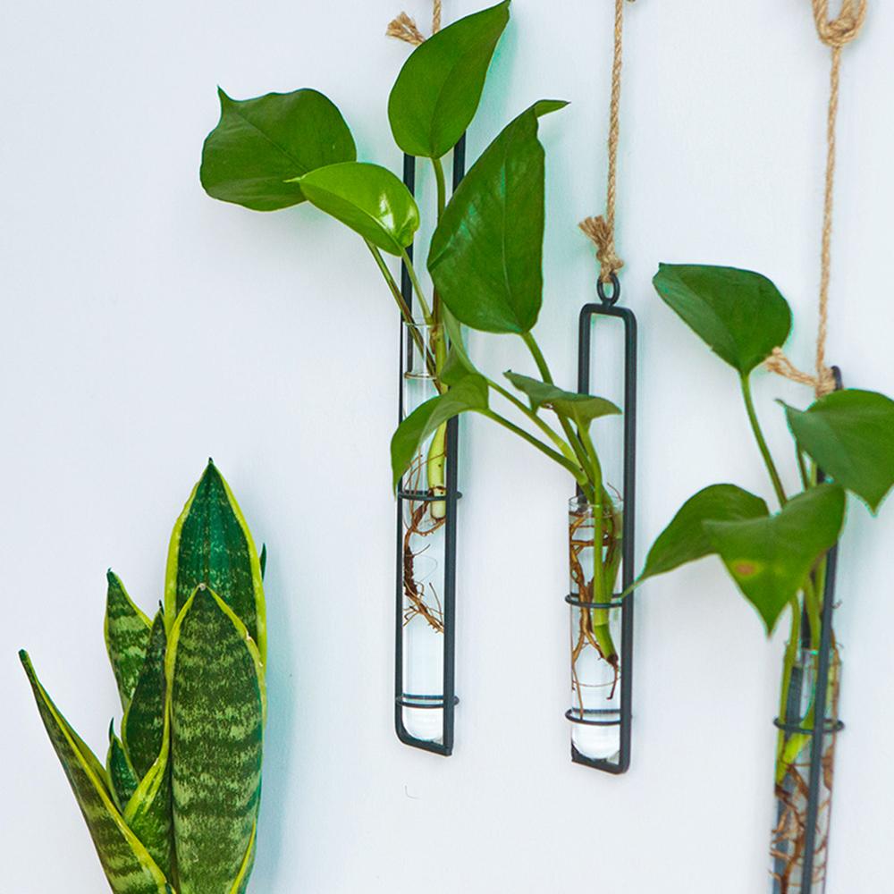 Hydroponic Green Plant Container Long Glass Hanging Delicate Decorative Hydroponic Vase for Living Room Porch Balcony