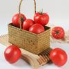 Artificial Tomato Model Realistic Foam Vegetable Props for Kids Teaching