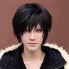 Sexy Mens Handsome Black Short Straight Cosplay Party Hair Wig Full Wigs