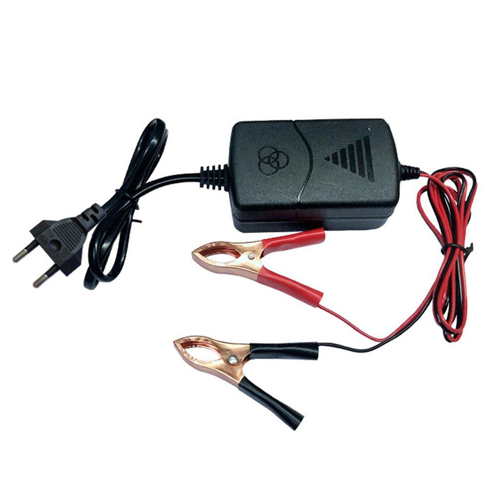 

Умное зарядное устройство для автомобильного аккумулятора 12 В, 1 А, свинцово-кислотное, со световым индикатором, 14,4 В, двухпроводной зажим типа «крокодил», автозарядное гнездо для кемпинга