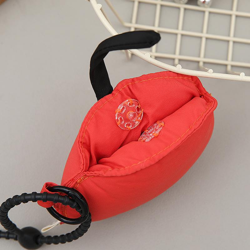 Earphone Carry Case Keychain,Pocket Earbud Travel Carrying Case for Smartphone Earphone,Wireless Headset,USB Cable,Storage Bags