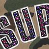 Supreme B.B. Simon Zip Up Hooded Sweatshirt Woodland Camo