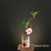 onigiri bento Sashimi Plate dish tray Decorative vase with flowers Sushi shop hotel Restaurant sea food decorations tree flower