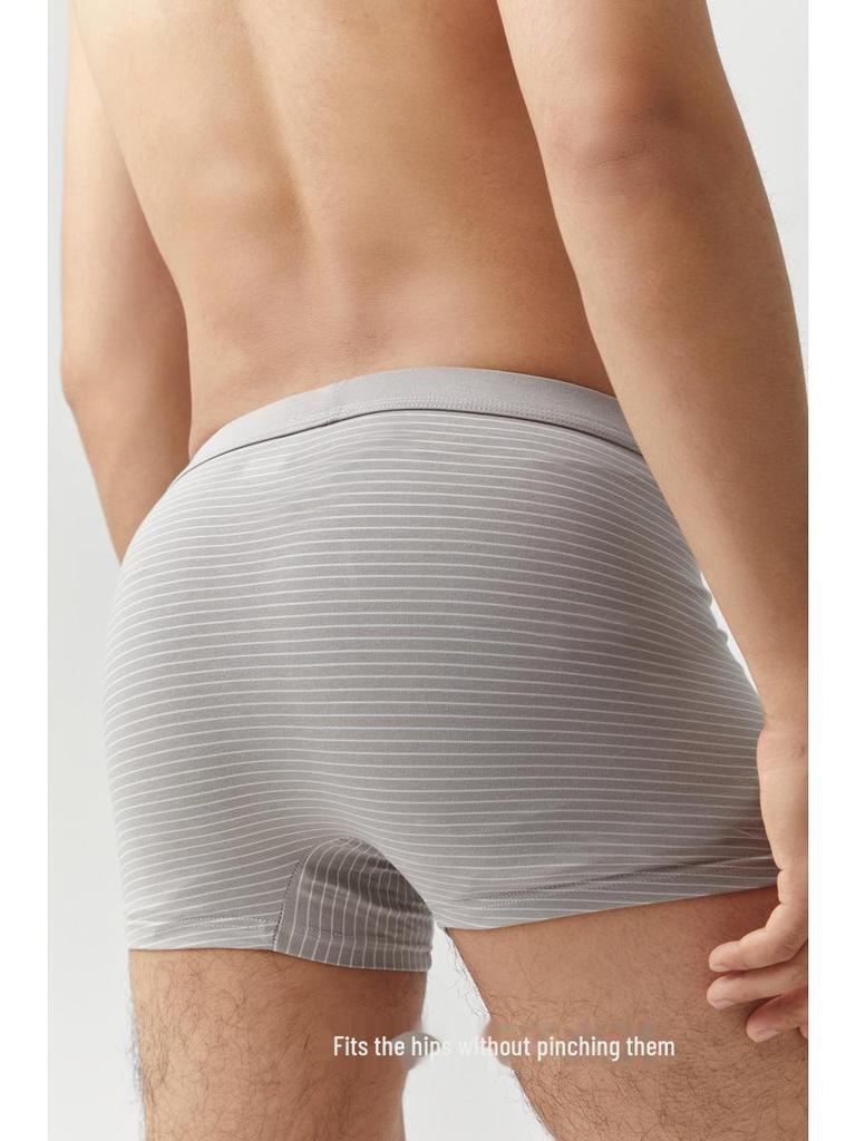Herren Boxer Briefs aus gestreifter Modal-Baumwolle im koreanischen Stil - Schlichte mittelhohe Taille, große Größe