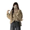 Imitation lamb wool fur jacket women's autumn and winter clothing loose short small thickened top women's light