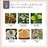 Flawless Serum White Facial Device Gel 80g CS19003A Ya-Man [Quasi-drug]