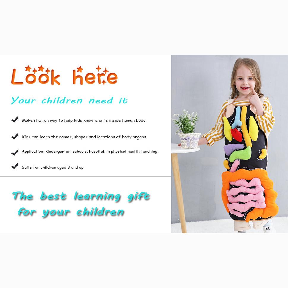 3D Organ Apron,  Anatomy Apron Human Body Organs Awareness Educational Toy for Home Preschool Teaching Aid
