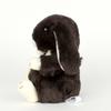 Starchild Plush Toy Lop Ear S Dark Brown