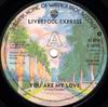 7inch Record LIVERPOOL EXPRESS  You Are My Love K16743 WARNER BROS. 1976 UK Pop Used