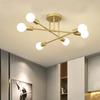 Modern Minimalist Indoor Wrought Iron Multi-Head Ceiling Light for Living Room, Restaurant, and Bedroom