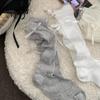 Short-sleeved Summer Lightweight Stockings for Women with Bow Ribbons At The Back of The Heel - A Sweet Long Stocking.