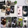 PP22 Cute Siamese Cat Soft Shell Phone Case for Xiaomi Xiaomi Poco M4 M5 M6 M7 X3 X6 X7 F8 Ultra Pro GT NFC