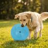 Köpek – Köpek oyuncakları