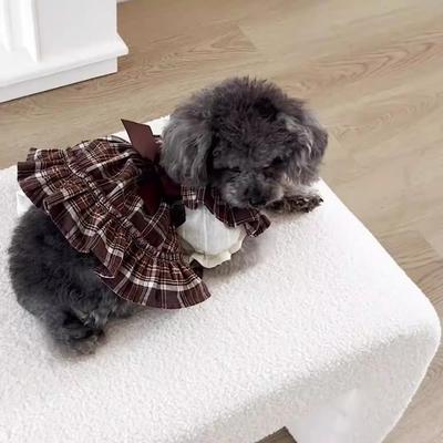 Giyim ve ayakkabı – Köpek elbiseleri