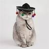 Cartoon Pet Hat for Pet Sombrero Puppy Hat for Puppies, Birthday Pet Headgear for Birthday Photo Props 6XDE