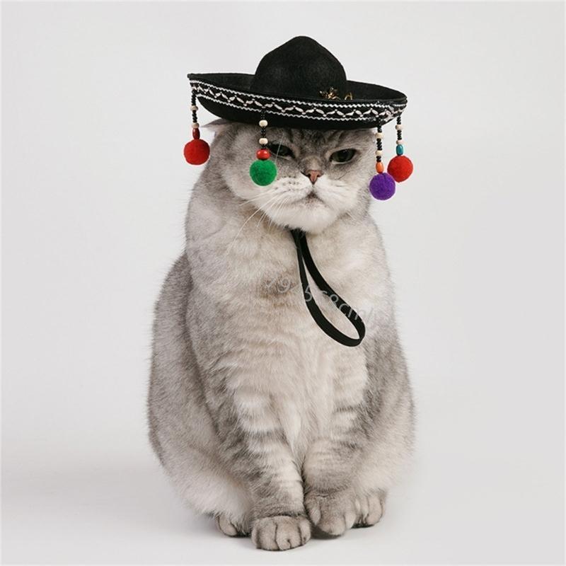 

Cartoon Pet Hat for Pet Sombrero Puppy Hat for Puppies, Birthday Pet Headgear for Birthday Photo Props 6XDE China Mainland