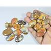 350Cts. Natural Forest Agate Oval Cabochon Loose Gemstone 15 Pcs Lot C-1947