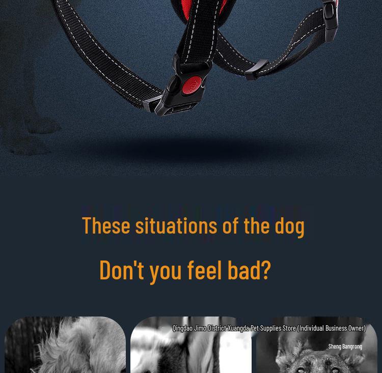 Golden Retriever & Labrador Medium-Large Dog Harness-Leash with Thick, Eight-Strand, Explosion-Proof Rope