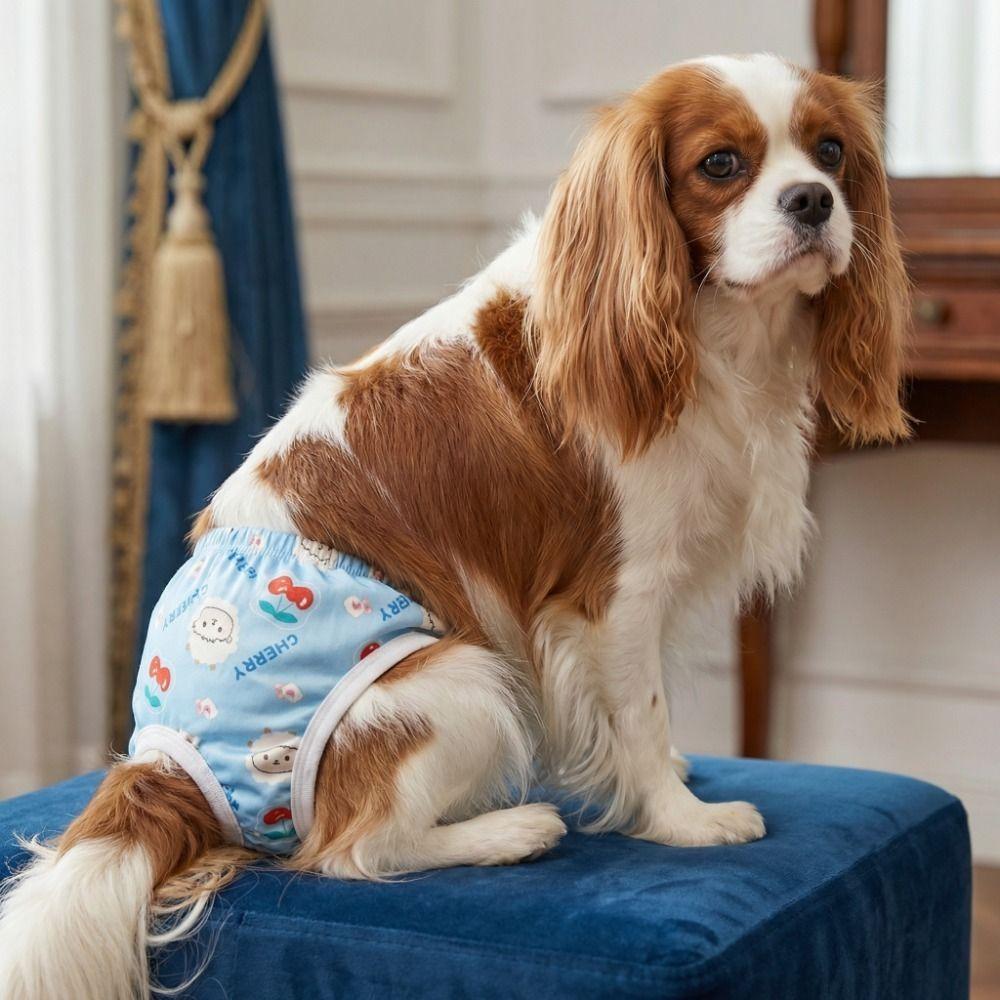 Breathable Pet Physiological Pants Adjustable Dog Sanitary Pants Washable Dog Diapers  Daily Wear