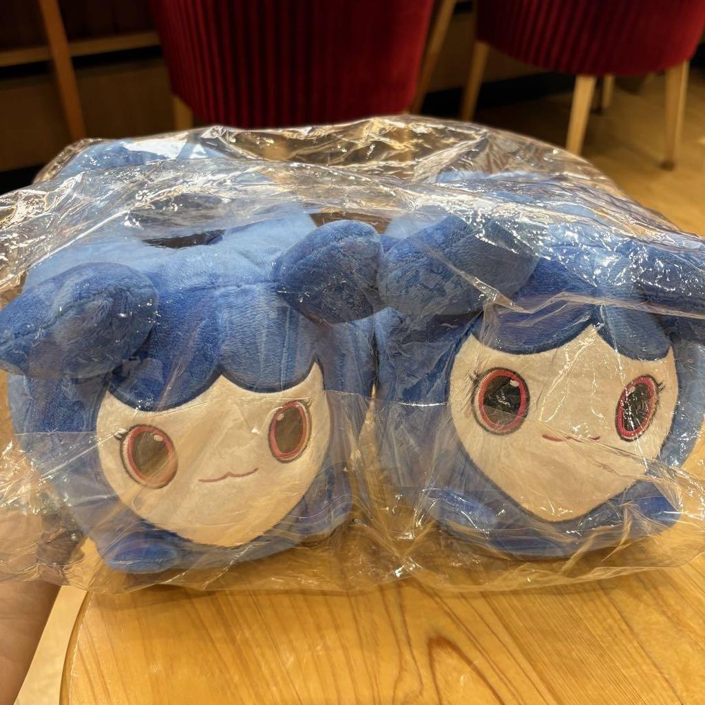 [USED] GIGO Limited Edition TWICE LOVELYS Plush Slippers Tzuyu