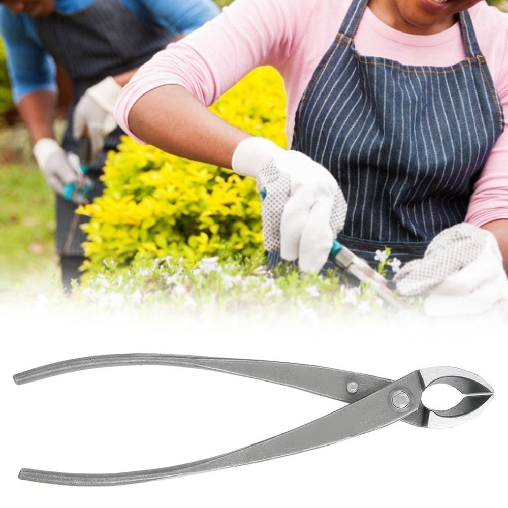 Tagliabranche per Bonsai in Acciaio Inossidabile Argento Bordo Rotondo Manopola Concava Manico Ergonomico Strumenti di Potatura Per Principianti
