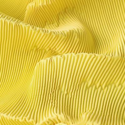 150X100cm Pleated Fabric Wrinkled Texture Textured Fabric Chiffon Fabric Rose Flower Pattern Accordion Fold Plisse Cloth