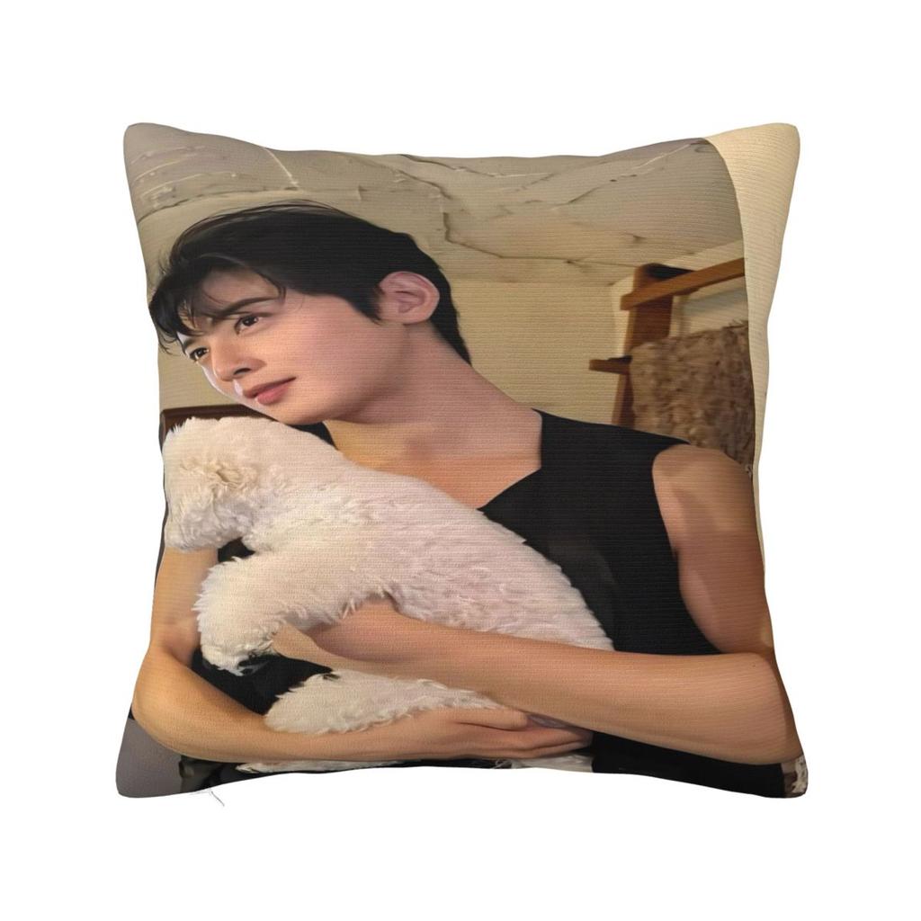 Cha Eun Woo Pillow Cover Soft Pillow Case Cushion Cover Vintage Design Pillowcases For Sofa Bedroom Home Decor