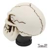 Funky Shift Knob Skull Bone Color