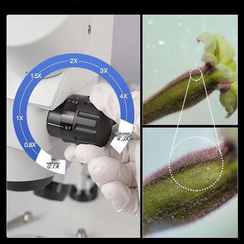 AOSVI Professional Stereo Microscope